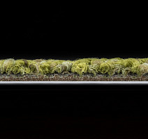 Desso Marvel 7073 фото 5 | FLOORDEALER